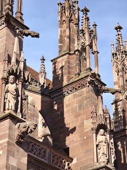 IMG_20250408_171735.jpg