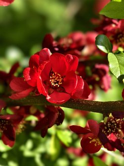 IMG_20250409_171421.jpg