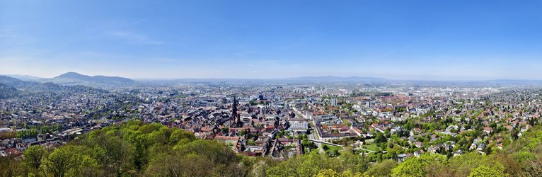 1.IMG_20250410_195933_PANORAMA.jpg