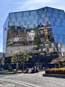 IMG_20250408_160331.jpg