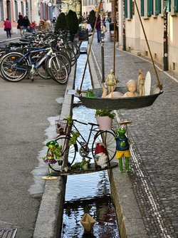 IMG_20250408_174027.jpg