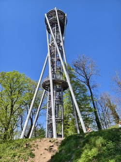IMG_20250410_135138.jpg