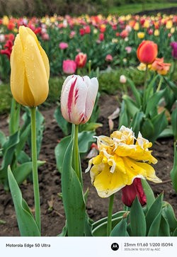 Gcam20250416_105720929.jpg