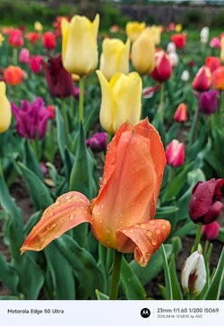 Gcam20250416_105810962.jpg