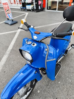 IMG_20250416_122257220.jpg