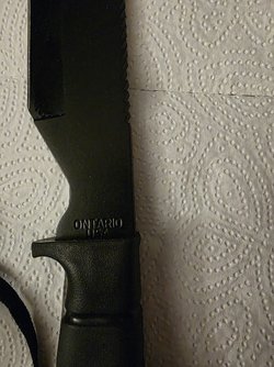 20250416_183301.jpg