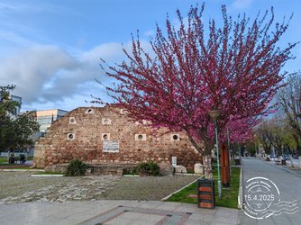 IMG_20250415_193317.jpg