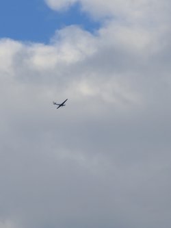 PXL_20250416_170937203~2.jpg