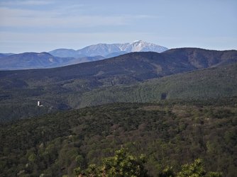 IMG_20250416_083620.jpg