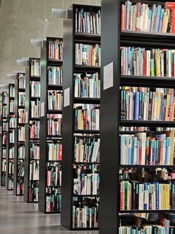 IMG_20250417_124739.jpg