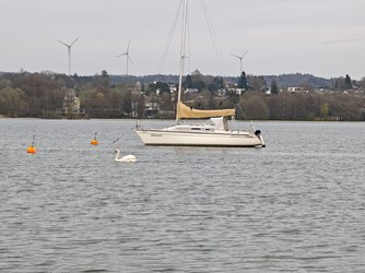 IMG_20250417_140918.jpg
