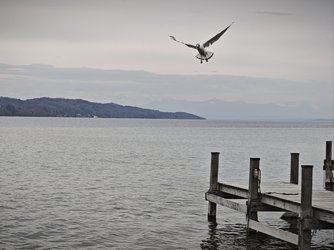 IMG_20250417_150406.jpg