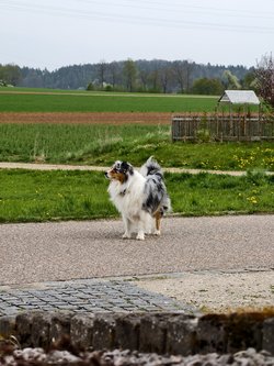 IMG_20250417_105352.jpg