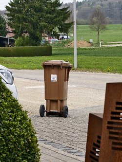 IMG_20250417_105149.jpg