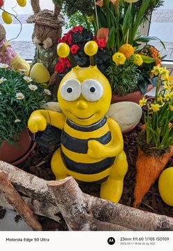 Gcam20250417_140635280.jpg