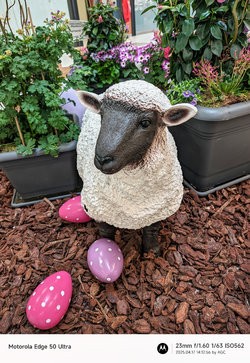 Gcam20250417_141256249.jpg