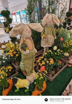 Gcam20250417_142122322.jpg