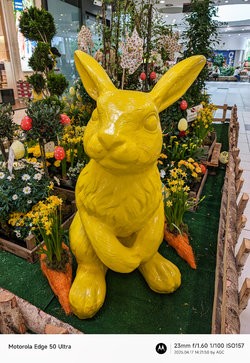 Gcam20250417_142150032.jpg
