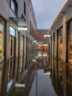 IMG_20231212_153009~2.jpg