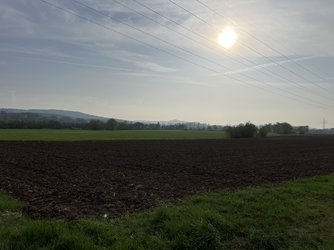 1000003468.jpg