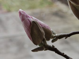 IMG_20250301_100838.jpg
