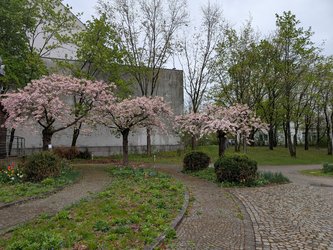 PXL_20250418_133117348.jpg