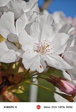 IMG_20250412_084549.jpg