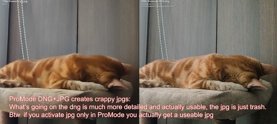 badjpg.jpg