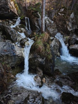 IMG_20250403_091958_23mm_50MP_to_20MP_Downscale.jpg