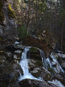 IMG_20250403_092318_23mm_50MP_to_20MP_Downscale.jpg