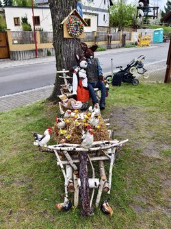 IMG_20250418_162335.jpg