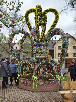 IMG_20250418_162107.jpg