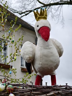 IMG_20250418_162018.jpg