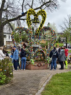IMG_20250418_161915.jpg