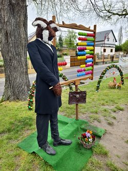 IMG_20250418_161527.jpg