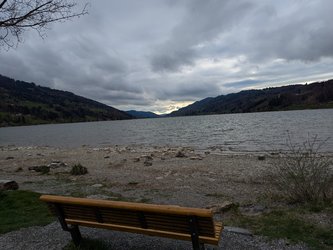 PXL_20250418_162421470.jpg