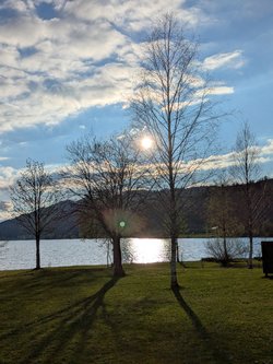 PXL_20250418_170517566.MP.jpg