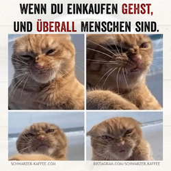Quotes-Creator-com.ist_.quotescreator-1745000580159(1).png