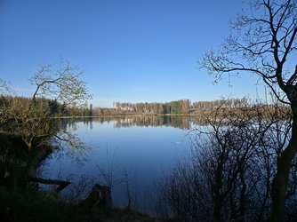 20250416_074011.jpg