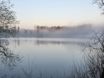 20250416_063529.jpg