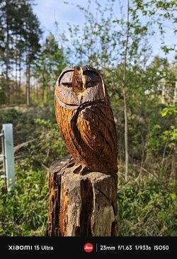 IMG_20250419_165512.jpg