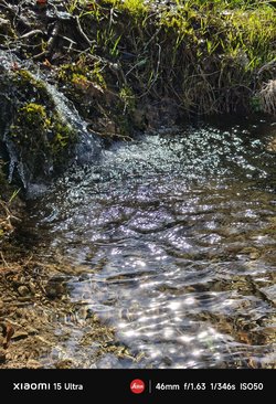 IMG_20250419_154556.jpg