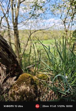 IMG_20250419_144338.jpg