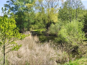 IMG_20250419_125401225_HDR.jpg