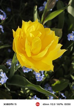 IMG_20250412_084958.jpg
