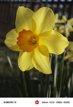 IMG_20250412_084934.jpg