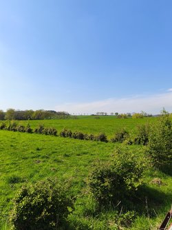 IMG_20250419_154603.jpg