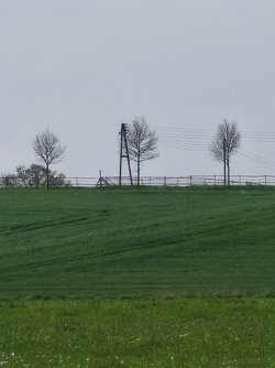 IMG_20250419_154614.jpg