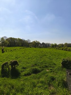 IMG_20250419_154506.jpg