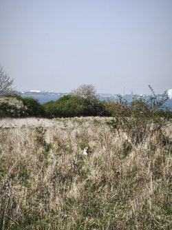 IMG_20250417_143652.jpg